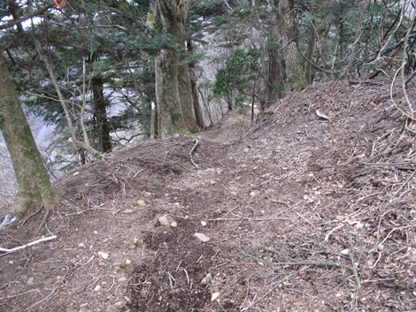 20170113hike (137)